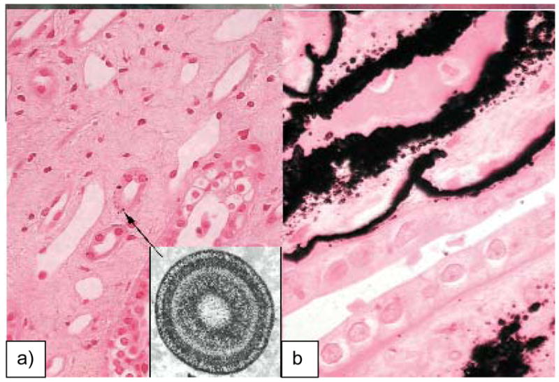 Figure 59