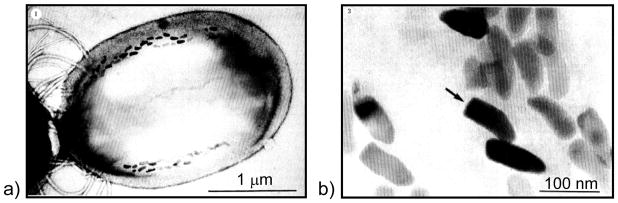 Figure 43