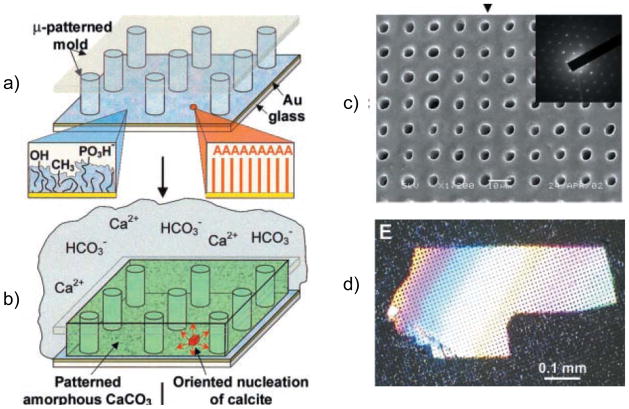 Figure 33