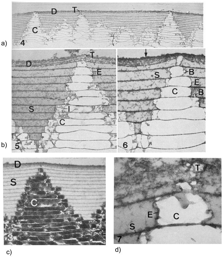 Figure 40