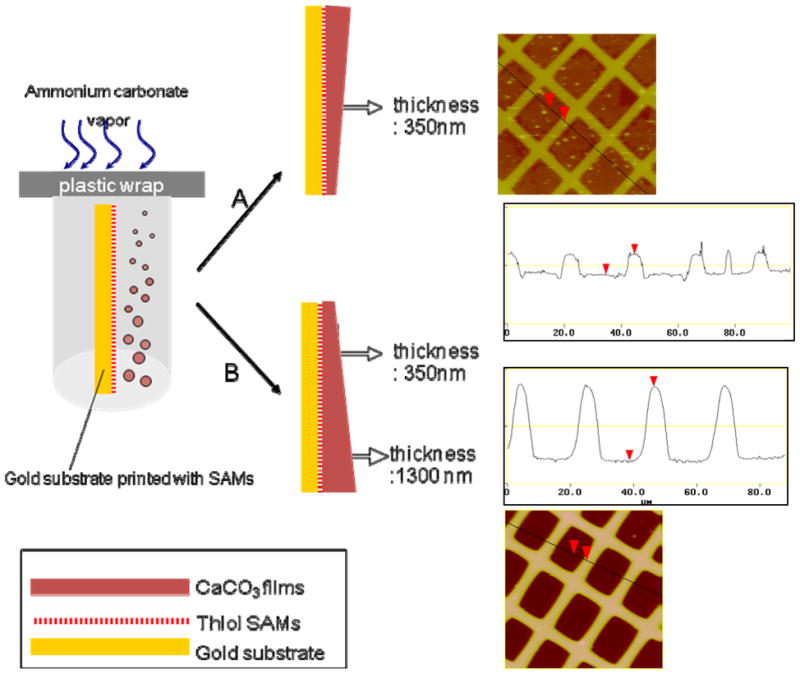 Figure 30