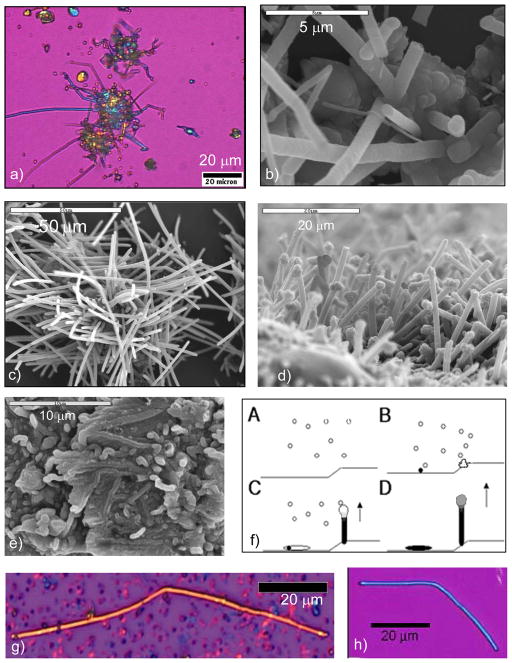 Figure 50