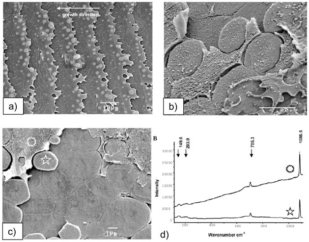 Figure 41