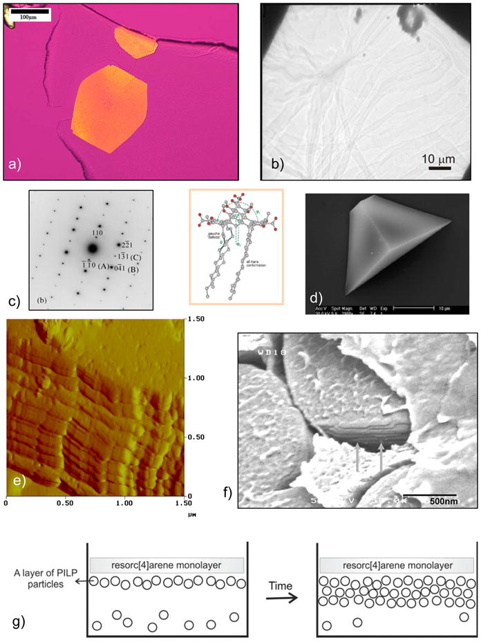 Figure 38