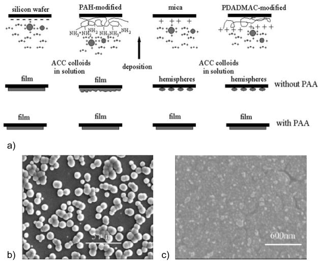 Figure 23