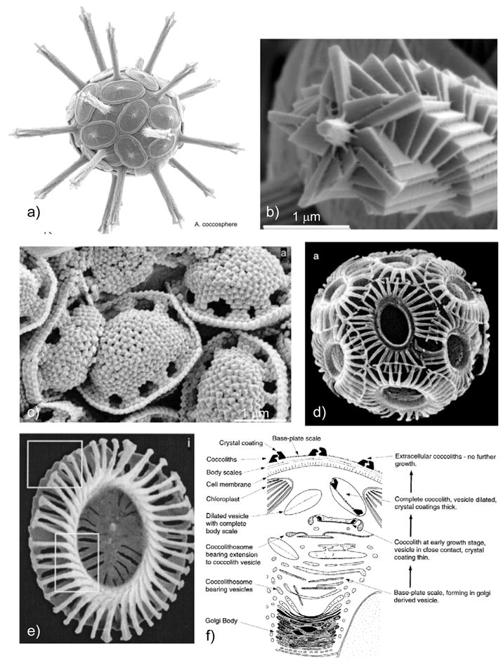 Figure 42