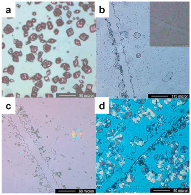 Figure 24