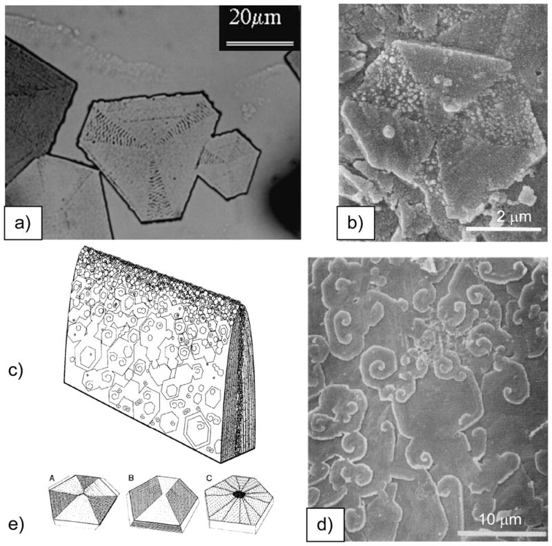 Figure 36