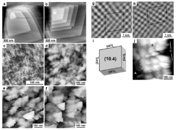 Figure 32