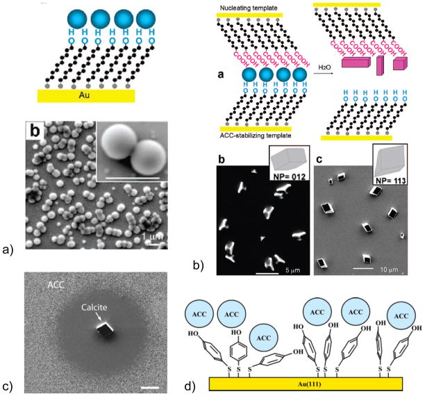 Figure 31