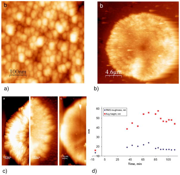 Figure 22