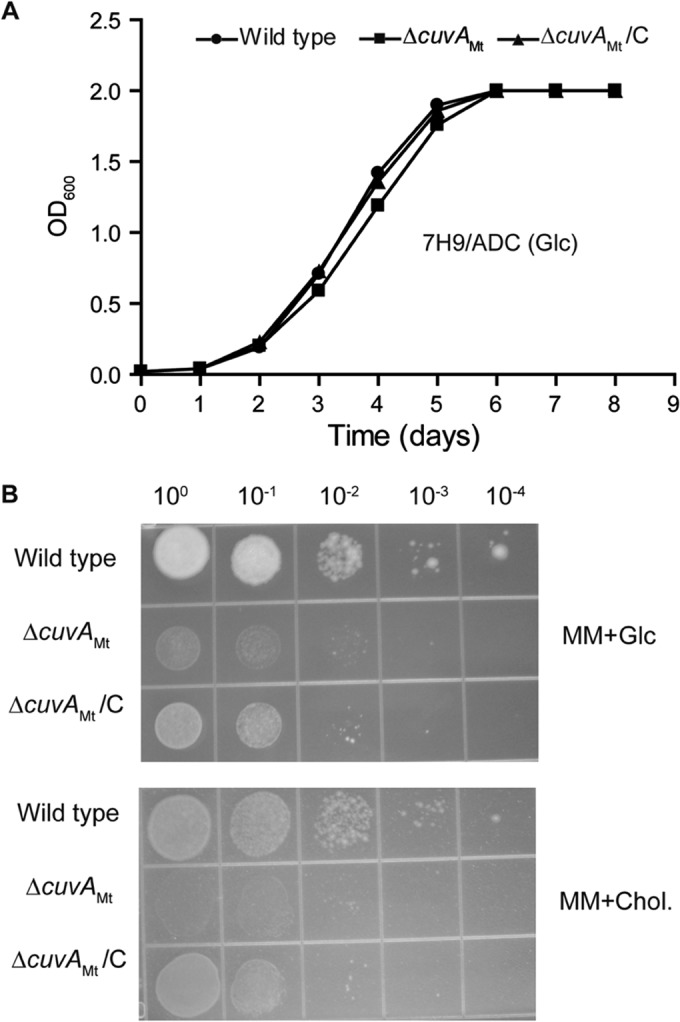 FIG 1