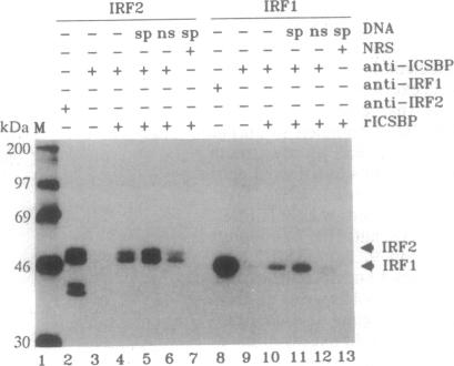 graphic file with name pnas01133-0448-a.jpg