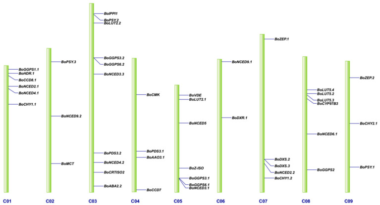 Figure 2