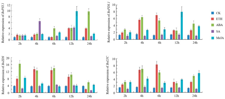 Figure 6