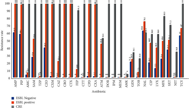 Figure 19