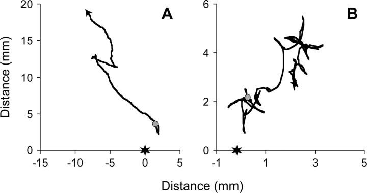 Figure 1.—