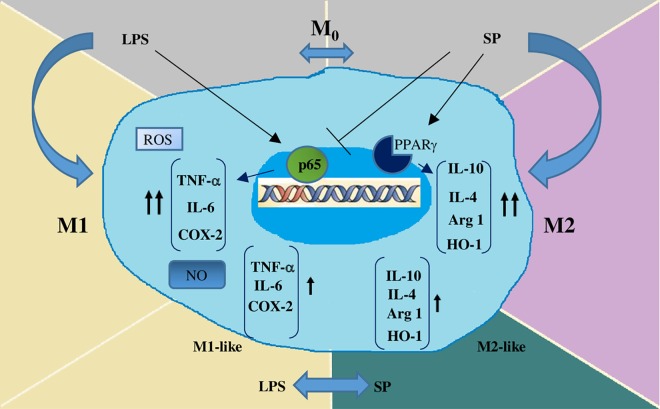 Fig 7