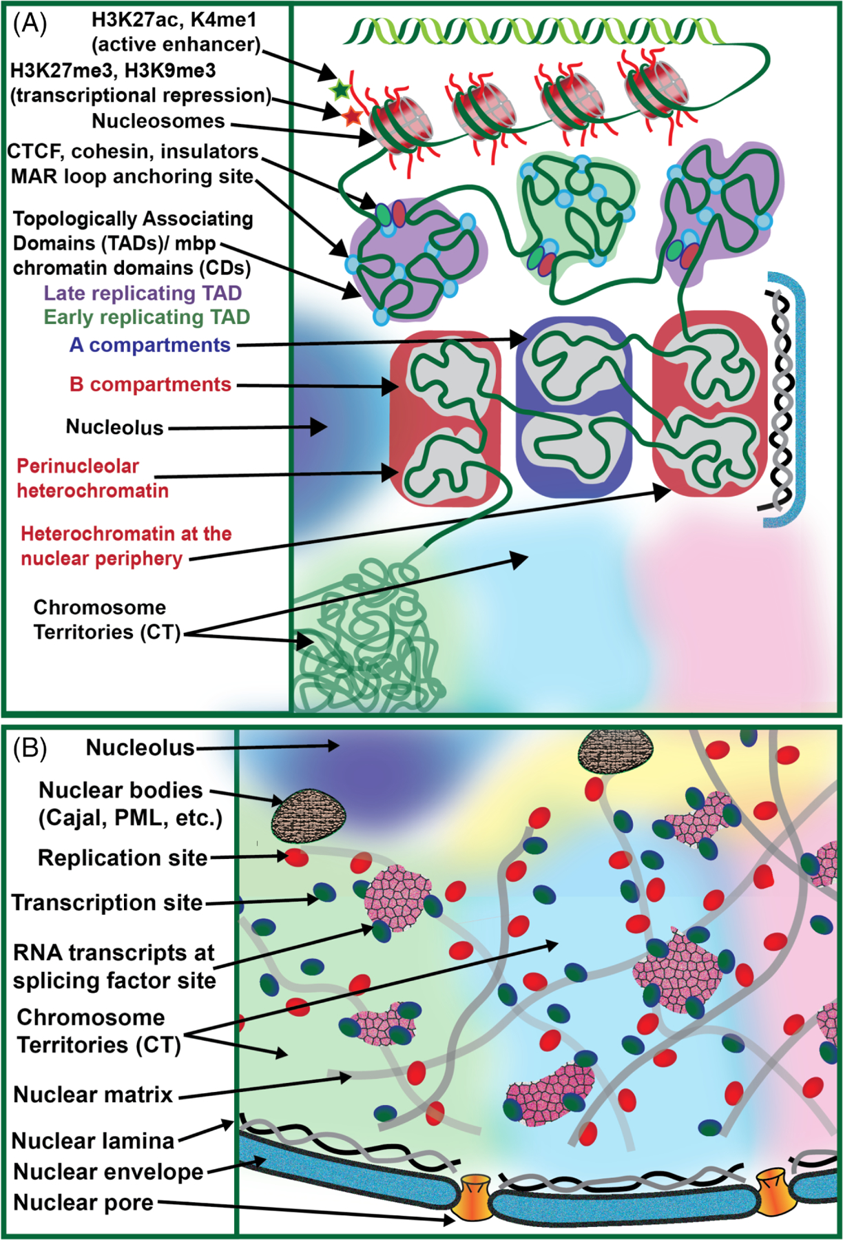 FIGURE 1