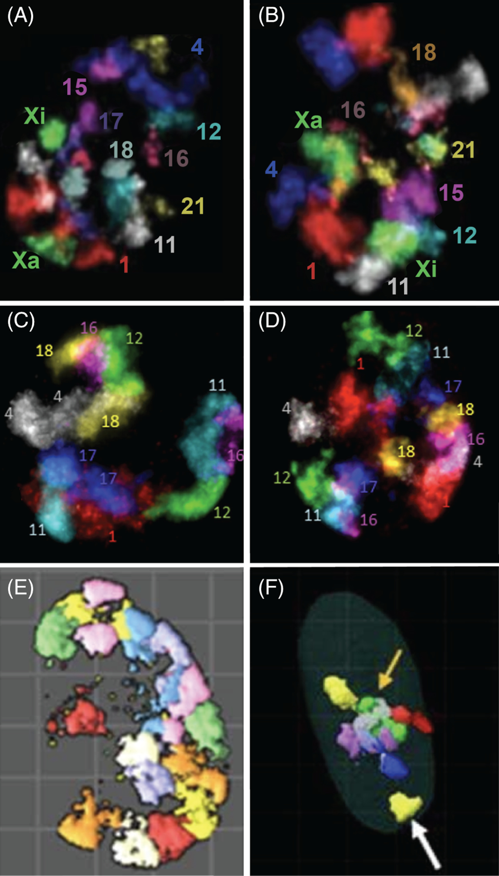 FIGURE 3