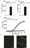 Figure 6