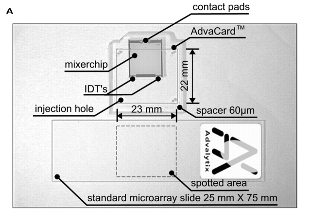 FIGURE 1