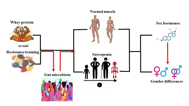 Figure 3.