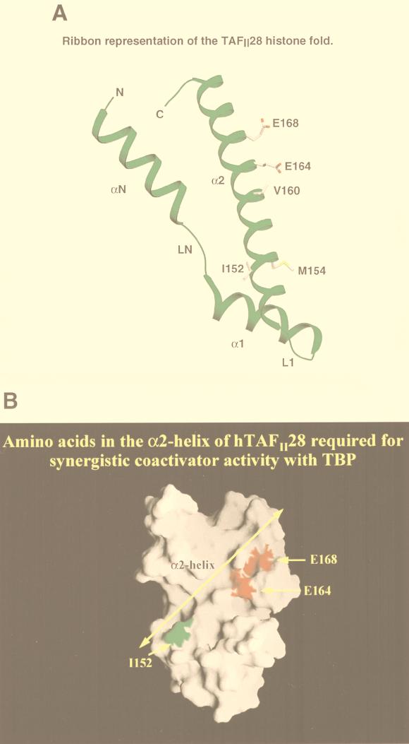 FIG. 7