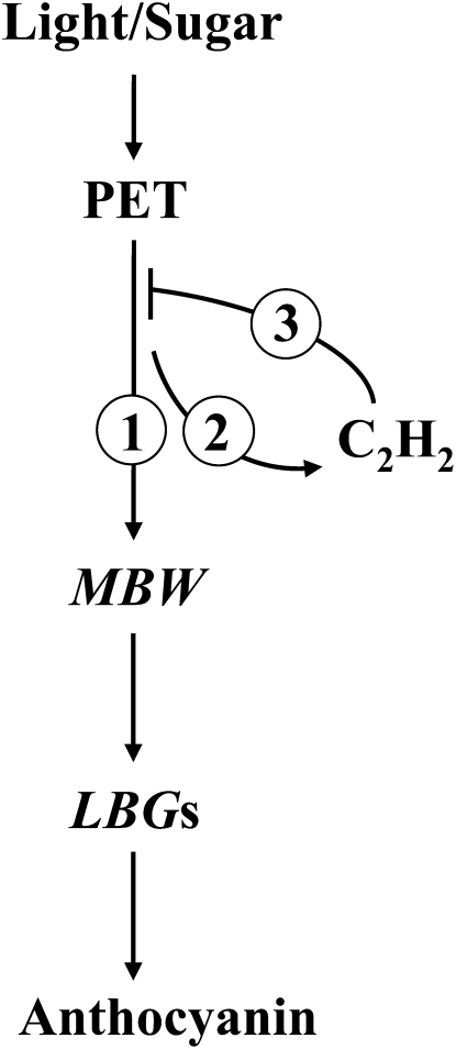 Figure 10.