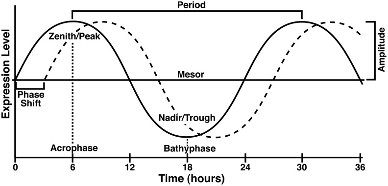 FIG. 1.