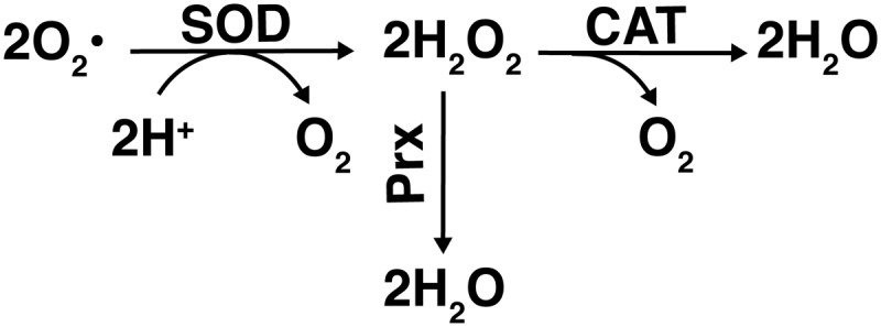 FIG. 5.