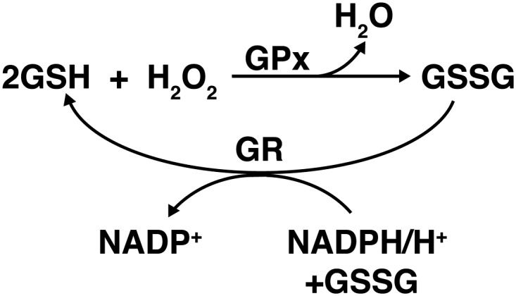 FIG. 6.