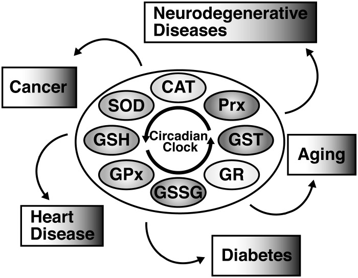 FIG. 8.