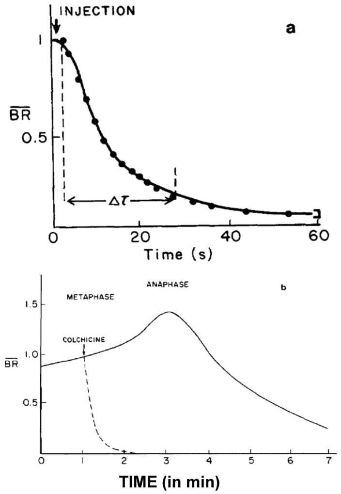 Figure 20