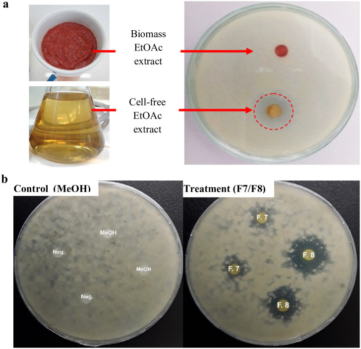 Fig 4