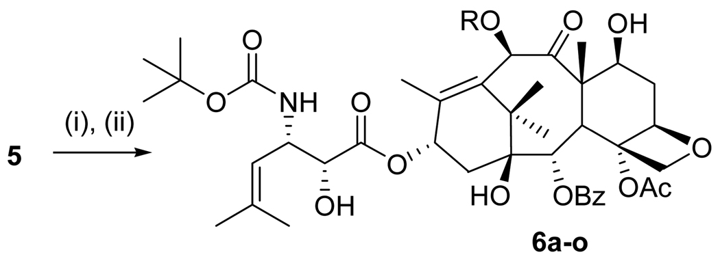 Scheme 2