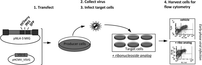 FIG 1