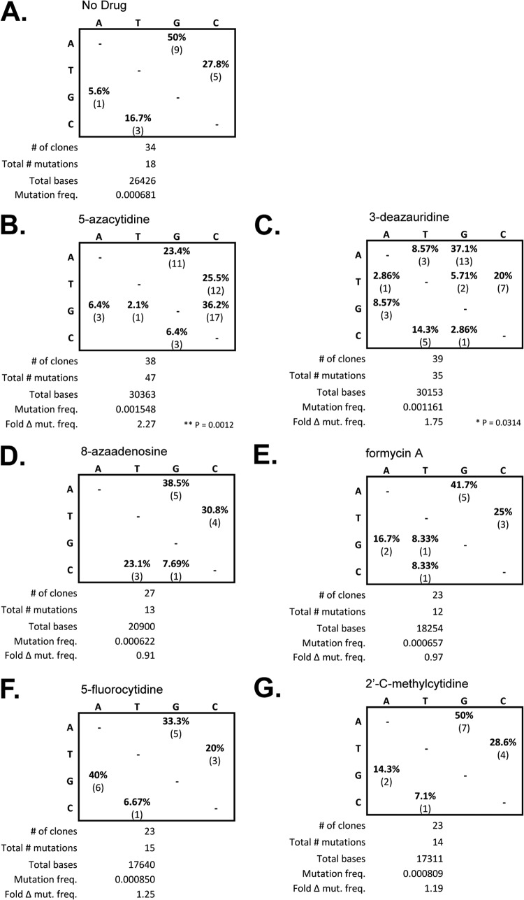 FIG 6