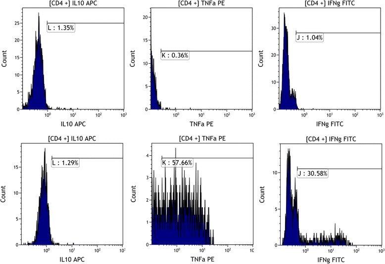 Fig. 4