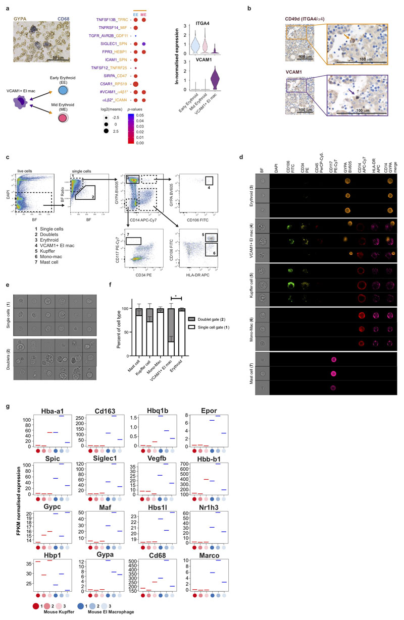 Extended Data Figure 4