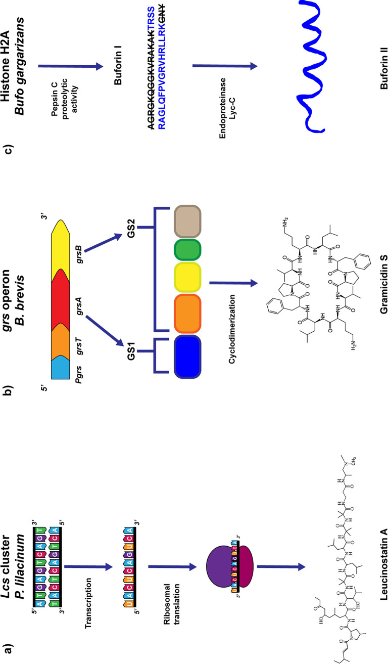 FIG 1