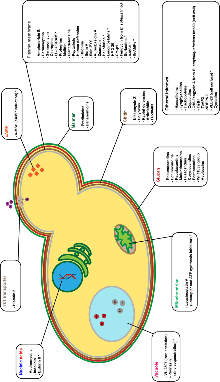 FIG 2