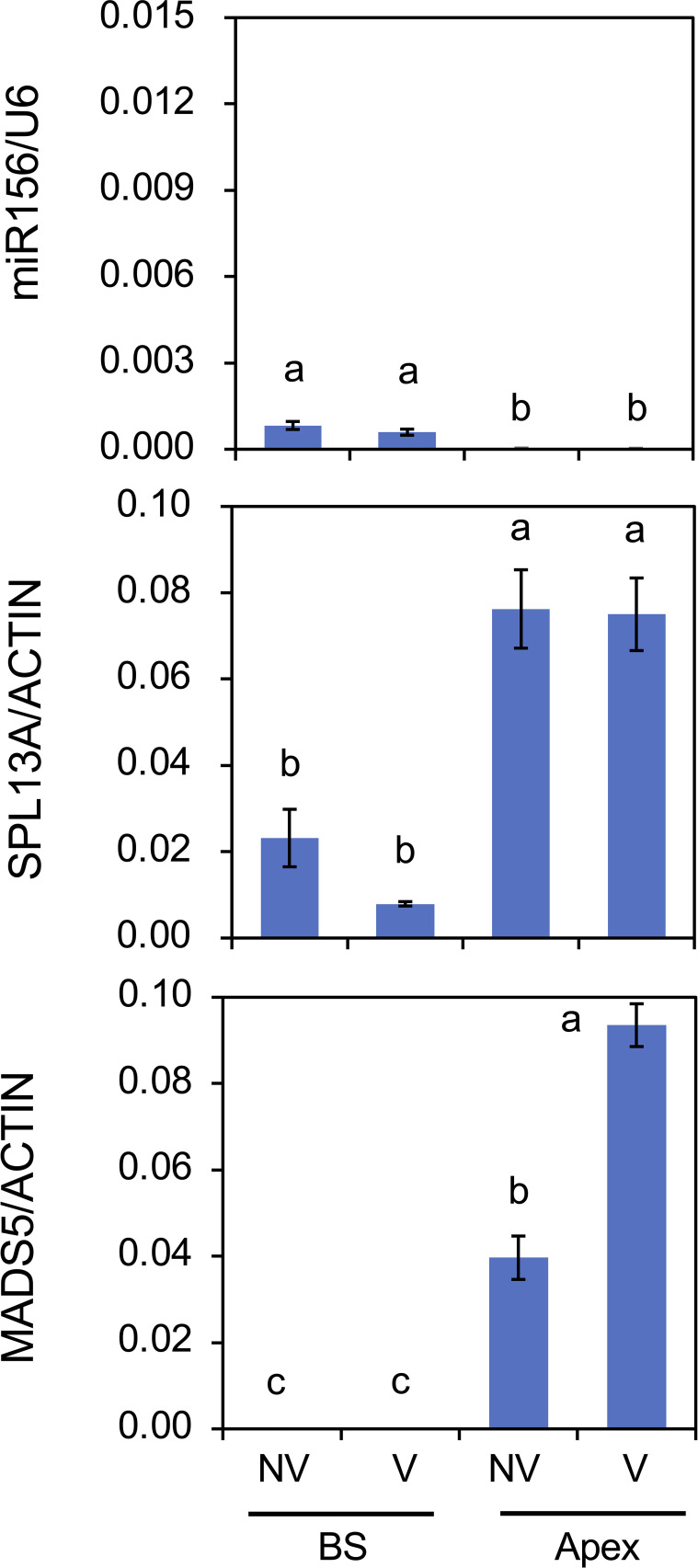 Figure 9