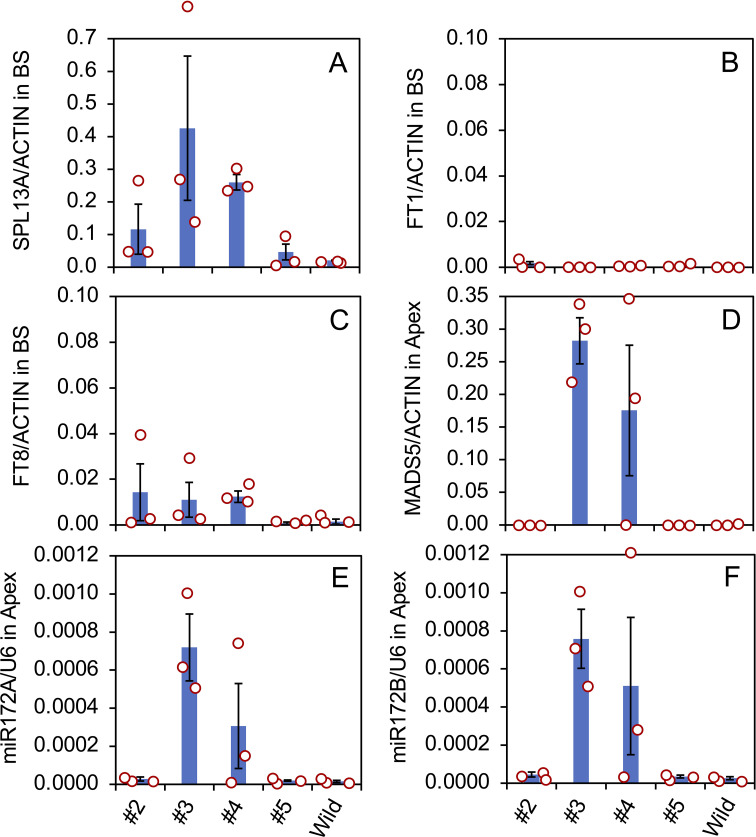 Figure 5