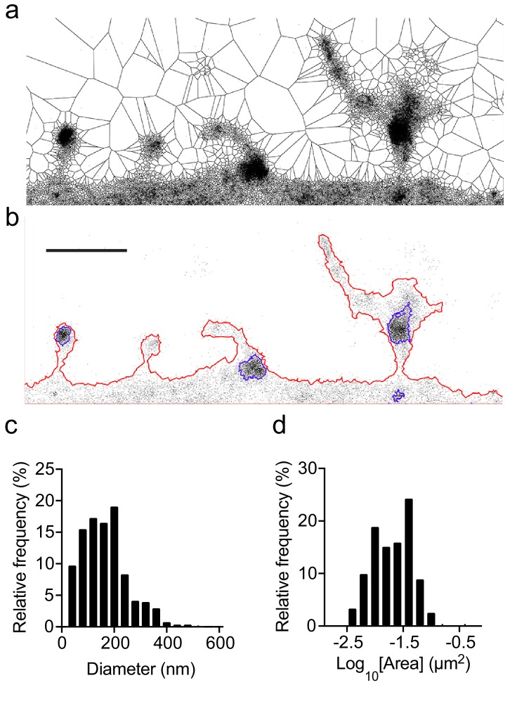 Figure 1—figure supplement 2.