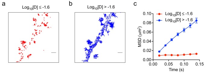 Figure 1—figure supplement 3.