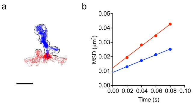 Figure 5—figure supplement 1.