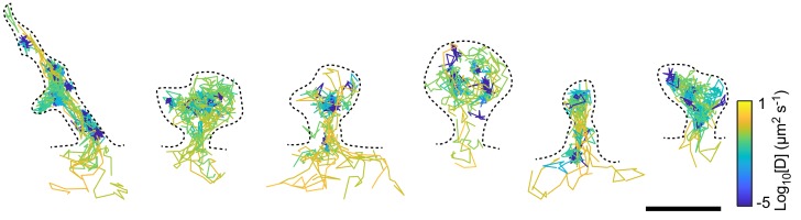 Figure 1—figure supplement 1.