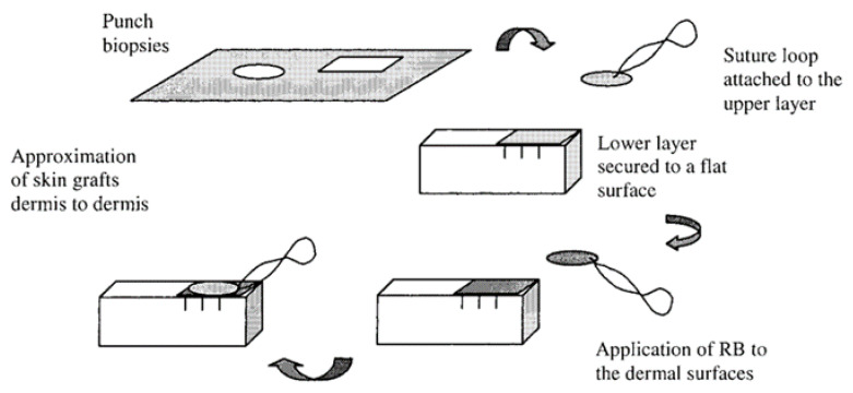 Figure 17