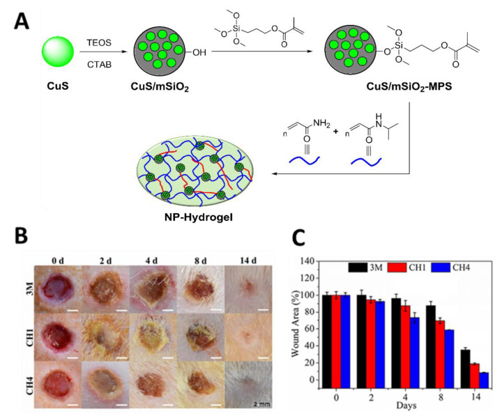 Figure 31